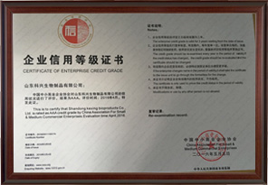 Certificate of Enterprise Credit Grade AAA